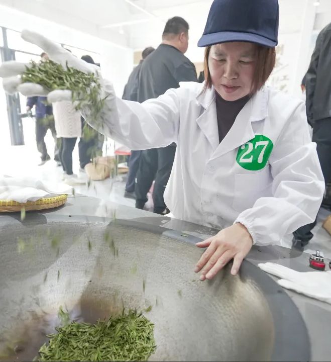18新利luck“泰”鲜了！来中泰喝本年第一杯春茶(图3)