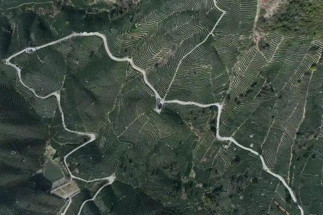 新利luck18大杭州这个村明天“喊山”！众筹尝鲜不？(图1)