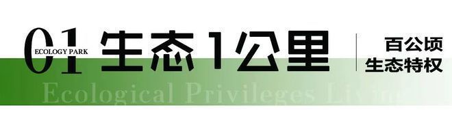 新利在线官网陆家嘴向东Park699 向上【PARK699·柏舍】浦东新贵的商务(图5)
